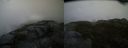 ./images/calvert/buxton2/20150619/buxton220150619_064003M.jpg