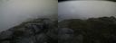 ./images/calvert/buxton2/20150619/buxton220150619_071004M.jpg