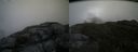 ./images/calvert/buxton2/20150620/buxton220150620_101003M.jpg