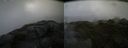 ./images/calvert/buxton2/20150625/buxton220150625_114003M.jpg