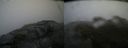 ./images/calvert/buxton2/20150625/buxton220150625_161003M.jpg