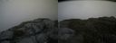 ./images/calvert/buxton2/20150630/buxton220150630_102504M.jpg