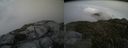 ./images/calvert/buxton2/20150714/buxton220150714_202504M.jpg
