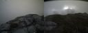 ./images/calvert/buxton2/20150726/buxton220150726_103003M.jpg