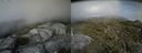 ./images/calvert/buxton2/20150731/buxton220150731_181004M.jpg