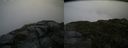 ./images/calvert/buxton2/20150808/buxton220150808_202004M.jpg