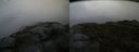 ./images/calvert/buxton2/20150907/buxton220150907_170003M.jpg