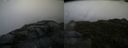 ./images/calvert/buxton2/20150909/buxton220150909_080004M.jpg