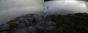 ./images/calvert/buxton2/20150918/buxton220150918_183004M.jpg