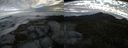 ./images/calvert/buxton2/20150930/buxton220150930_084004M.jpg