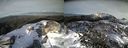 ./images/calvert/buxton2/20151120/buxton220151120_152004M.jpg