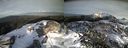 ./images/calvert/buxton2/20151120/buxton220151120_153004M.jpg