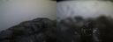 ./images/calvert/buxton2/20151122/buxton220151122_080003M.jpg