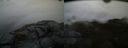 ./images/calvert/buxton2/20151203/buxton220151203_115502M.jpg