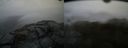 ./images/calvert/buxton2/20151203/buxton220151203_123004M.jpg