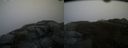 ./images/calvert/buxton2/20151203/buxton220151203_133004M.jpg