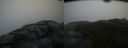 ./images/calvert/buxton2/20151203/buxton220151203_134003M.jpg