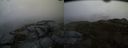 ./images/calvert/buxton2/20151203/buxton220151203_140503M.jpg