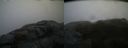 ./images/calvert/buxton2/20160122/buxton220160122_100510M.jpg