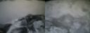 ./images/calvert/buxton2/20160130/buxton220160130_083508M.jpg