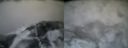 ./images/calvert/buxton2/20160130/buxton220160130_085009M.jpg