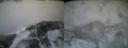 ./images/calvert/buxton2/20160130/buxton220160130_090010M.jpg