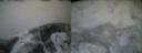 ./images/calvert/buxton2/20160130/buxton220160130_092511M.jpg