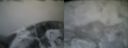 ./images/calvert/buxton2/20160130/buxton220160130_093123M.jpg
