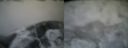 ./images/calvert/buxton2/20160130/buxton220160130_093514M.jpg