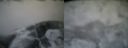 ./images/calvert/buxton2/20160130/buxton220160130_094513M.jpg