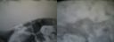 ./images/calvert/buxton2/20160130/buxton220160130_095618M.jpg