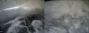 ./images/calvert/buxton2/20160130/buxton220160130_104617M.jpg