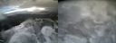 ./images/calvert/buxton2/20160130/buxton220160130_113008M.jpg