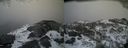 ./images/calvert/buxton2/20160130/buxton220160130_142620M.jpg