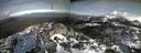 ./images/calvert/buxton2/20160201/buxton220160201_142006M.jpg