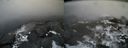 ./images/calvert/buxton2/20160203/buxton220160203_125624M.jpg