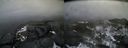 ./images/calvert/buxton2/20160204/buxton220160204_093621M.jpg