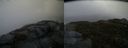./images/calvert/buxton2/20160210/buxton220160210_135017M.jpg