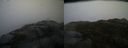 ./images/calvert/buxton2/20160214/buxton220160214_104622M.jpg