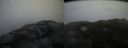 ./images/calvert/buxton2/20160214/buxton220160214_165111M.jpg