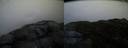 ./images/calvert/buxton2/20160219/buxton220160219_180007M.jpg