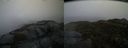 ./images/calvert/buxton2/20160305/buxton220160305_085531M.jpg