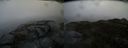 ./images/calvert/buxton2/20160305/buxton220160305_104622M.jpg
