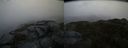 ./images/calvert/buxton2/20160306/buxton220160306_142611M.jpg