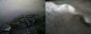 ./images/calvert/buxton2/20160308/buxton220160308_133110M.jpg