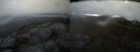 ./images/calvert/buxton2/20160309/buxton220160309_102620M.jpg