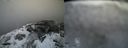 ./images/calvert/buxton2/20160311/buxton220160311_104511M.jpg