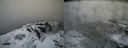 ./images/calvert/buxton2/20160311/buxton220160311_111515M.jpg