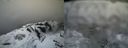 ./images/calvert/buxton2/20160311/buxton220160311_112121M.jpg