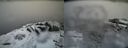 ./images/calvert/buxton2/20160311/buxton220160311_112634M.jpg